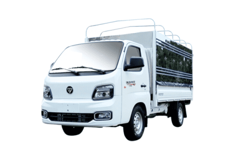 Veam T25