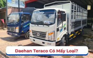 Daehan Teraco có mấy loại